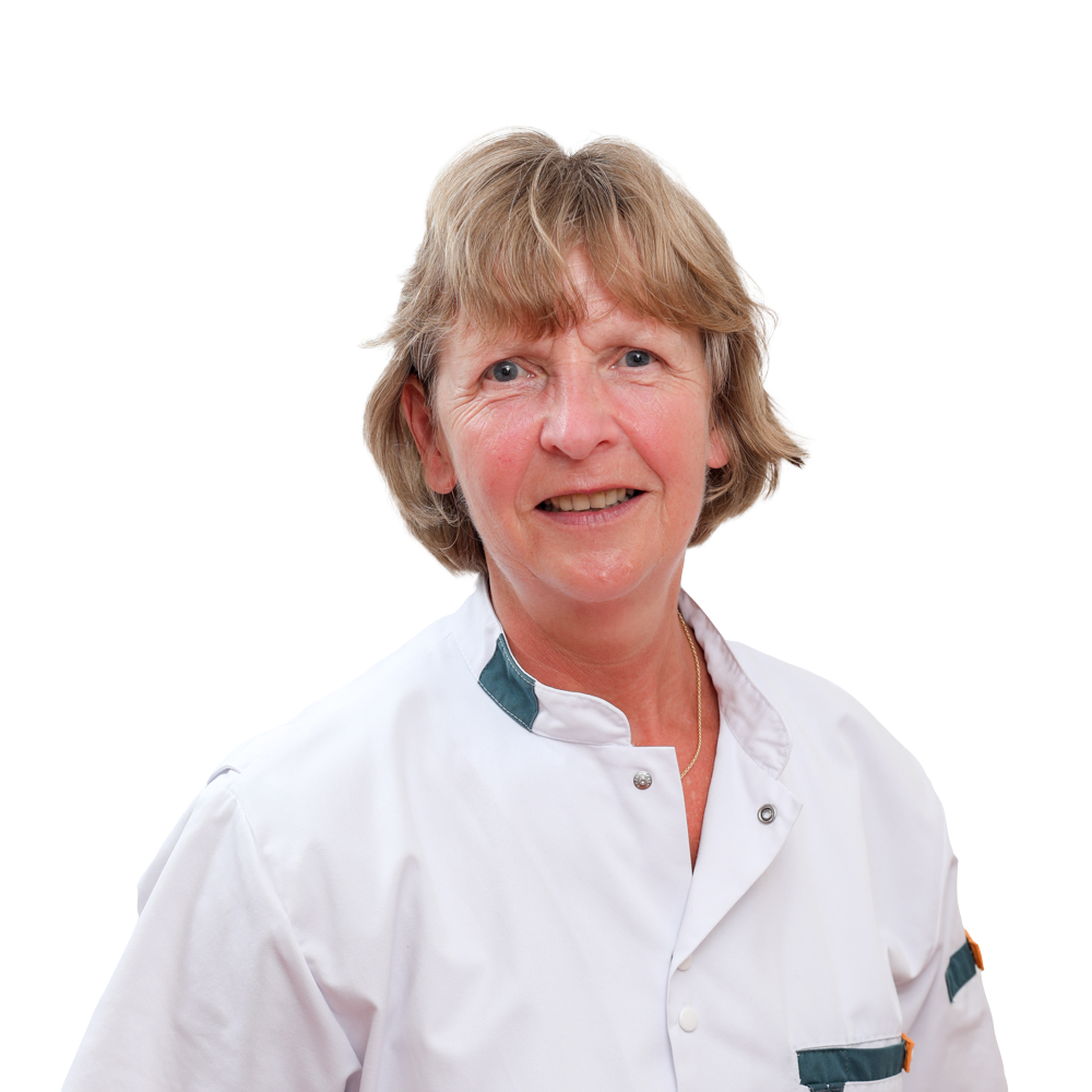 Pasfoto van Mw. D.L.M. (Desiré) Butzelaar- van Hal